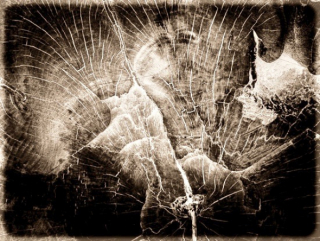 Form und Verwandlung